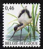 Belgium 2002-09 Birds #5 Avocet 0.46 Euro unmounted mint SG 3701c