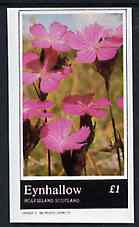 Eynhallow 1982 Flowers #30 imperf souvenir sheet (£1 value) unmounted mint