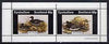 Eynhallow 1981 Ducks #5 perf sheetlet containing set of 2 values unmounted mint