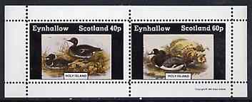 Eynhallow 1981 Ducks #5 perf sheetlet containing set of 2 values unmounted mint