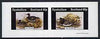 Eynhallow 1981 Ducks #5 imperf sheetlet containing set of 2 values unmounted mint