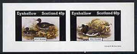 Eynhallow 1981 Ducks #5 imperf sheetlet containing set of 2 values unmounted mint
