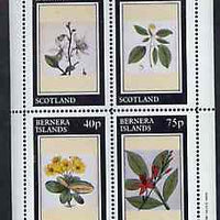 Bernera 1981 Flowers #24 perf sheetlet containing set of 4 values unmounted mint