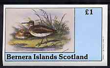 Bernera 1982 Birds #34 imperf souvenir sheet (£1 value) unmounted mint