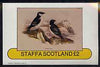 Staffa 1982 Birds #77 imperf deluxe sheet (£2 value) unmounted mint