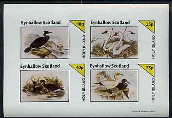 Eynhallow 1981 Birds #43 (Cormorant, Swan etc) imperf sheetlet containing set of 4 values unmounted mint