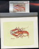 Bernera 1982 Shell Fish (Scampi) original artwork by Sharon File of the B L Kearley Studio, watercolour on board 115 x 90 mm plus issued imperf s/sheet incorporating this image