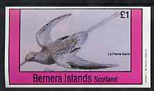Bernera 1981 Birds #36 imperf souvenir sheet (£1 value) unmounted mint