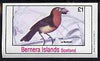 Bernera 1981 Birds #37 imperf souvenir sheet (£1 value) unmounted mint