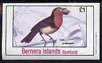 Bernera 1981 Birds #37 imperf souvenir sheet (£1 value) unmounted mint