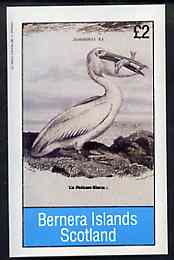 Bernera 1982 Birds #38 (Pelican) imperf deluxe sheet (£2 value) unmounted mint