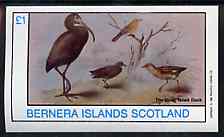 Bernera 1982 Birds #41 imperf souvenir sheet (£1 value) unmounted mint
