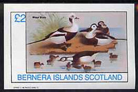 Bernera 1982 Birds #41 imperf deluxe sheet (£2 value) unmounted mint