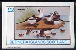 Bernera 1982 Birds #41 imperf deluxe sheet (£2 value) unmounted mint