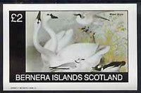Bernera 1982 Birds #43 imperf deluxe sheet (£2 value) unmounted mint