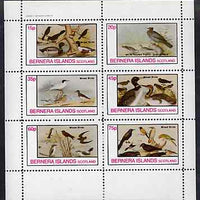 Bernera 1982 Birds #45 perf set of 6 values unmounted mint