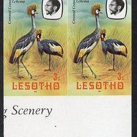 Lesotho 1981 Crowned Crane 3s def in unmounted mint imperf pair* (SG 439)