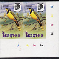Lesotho 1981 Shrike 5s def in unmounted mint imperf pair* (SG 440)