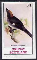 Grunay 1982 Birds #09 (Brush Finch) imperf souvenir sheet (£1 value) unmounted mint