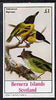Bernera 1982 Birds #47 (Flycatcher) imperf souvenir sheet (£1 value) unmounted mint