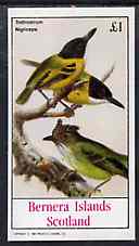 Bernera 1982 Birds #47 (Flycatcher) imperf souvenir sheet (£1 value) unmounted mint