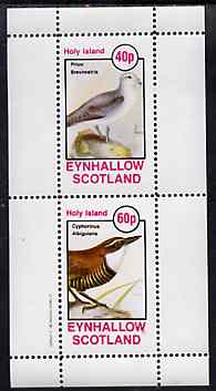 Eynhallow 1981 Birds #44 (Petrel & Wren) perf set of 2 values unmounted mint