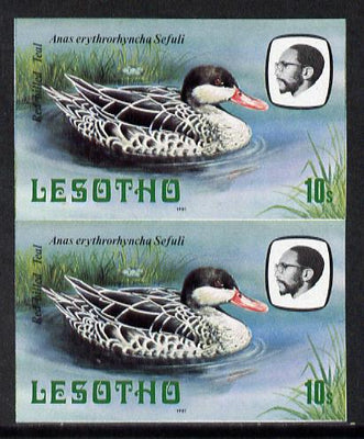 Lesotho 1981 Red Billed Teal 10s def in unmounted mint imperf pair* (SG 443)