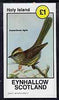 Eynhallow 1981 Birds #45 (Tit) imperf souvenir sheet (£1 value) unmounted mint