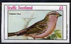 Staffa 1982 Birds #82 (Asiatic Finch) imperf souvenir sheet (£1 value) unmounted mint