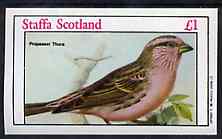 Staffa 1982 Birds #82 (Asiatic Finch) imperf souvenir sheet (£1 value) unmounted mint