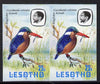 Lesotho 1981 Malachite Kingfisher 25s def in unmounted mint imperf pair* (SG 444)
