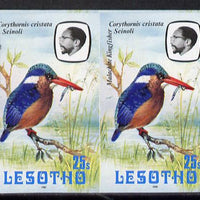 Lesotho 1981 Malachite Kingfisher 25s def in unmounted mint imperf pair* (SG 444)