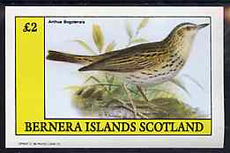 Bernera 1982 Birds #48 (Pipit) imperf deluxe sheet (£2 value) unmounted mint