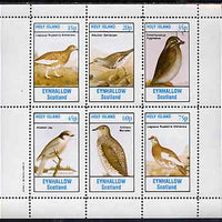 Eynhallow 1982 Birds #46 (Jay, Sandpiper, Auklet, etc) perf set of 6 values unmounted mint