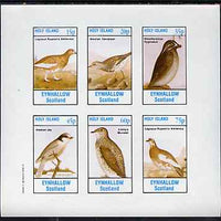 Eynhallow 1982 Birds #46 (Jay, Sandpiper, Auklet, etc) imperf set of 6 values unmounted mint