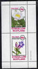 Eynhallow 1982 Flowers #31 perf set of 2 values unmounted mint