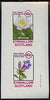 Eynhallow 1982 Flowers #31 imperf set of 2 values unmounted mint