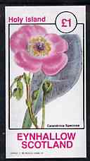 Eynhallow 1982 Flowers #31 imperf souvenir sheet (£1 value) unmounted mint