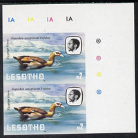 Lesotho 1981 Egyptian Goose M2 def in unmounted mint imperf pair* (SG 449)