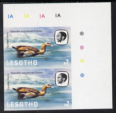 Lesotho 1981 Egyptian Goose M2 def in unmounted mint imperf pair* (SG 449)