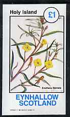Eynhallow 1982 Flowers #32 imperf souvenir sheet (£1 value) unmounted mint