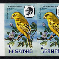 Lesotho 1982 Yellow Canary 7s def in unmounted mint imperf pair* (SG 505)