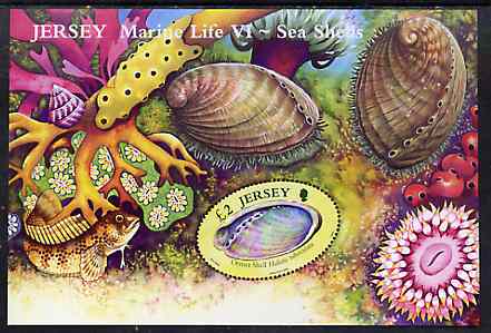 Jersey 2006 Marine Life #6 - Shells perf m/sheet unmounted mint SG MS 1270