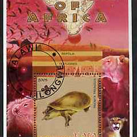 Malawi 2005 Animals of Africa - Turtle perf m/sheet with Scout Logo & Lions in background, fine cto used