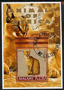 Malawi 2005 Animals of Africa - Golden Cat perf m/sheet with Scout Logo, Rhino & Ape in background, fine cto used