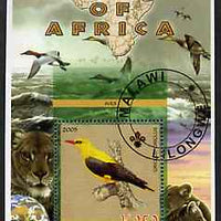Malawi 2005 Birds of Africa - Oriole perf m/sheet with Scout Logo and Lions in background, fine cto used