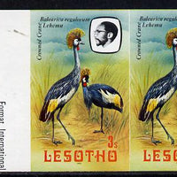 Lesotho 1982 Crowned Crane 3s def in unmounted mint imperf pair* (SG 502)