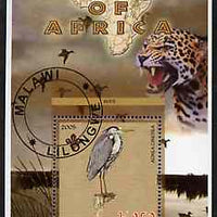 Malawi 2005 Birds of Africa - Heron perf m/sheet with Scout Logo and Big Cat & Ducks in background, fine cto used