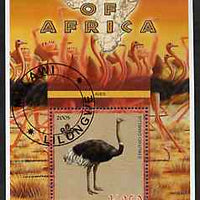 Malawi 2005 Birds of Africa - Ostrich perf m/sheet with Scout Logo, fine cto used