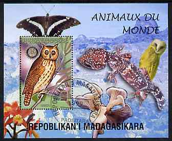 Madagascar 1999 Animals of the World #07 perf m/sheet showing Owl (Hanka) with Rotary Logo, background shows Owl, Butterfly, Reptile, Fungi & Orchid, fine cto used